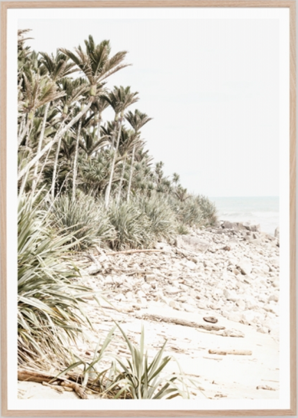 Jungle Shoreline