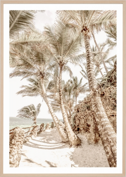 Palm Tree Trail