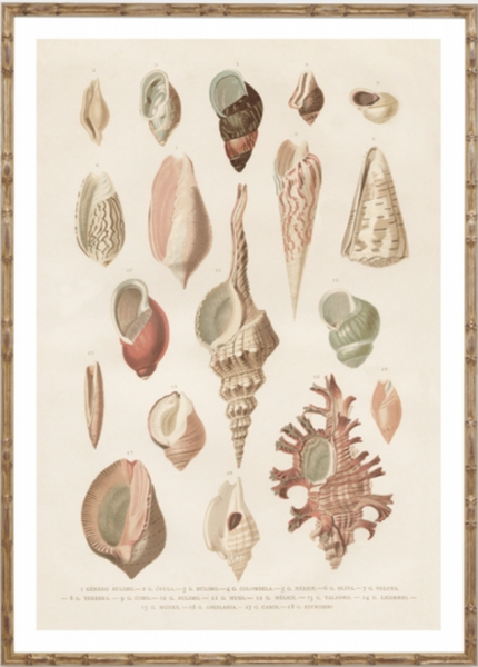 Coastal Trinkets Natural 1