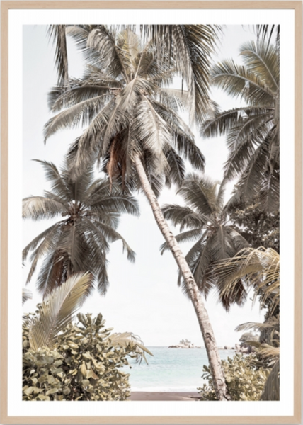 Tropical Retreat
