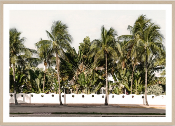 Miami Palms