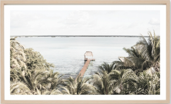 Tropical Boardwalk
