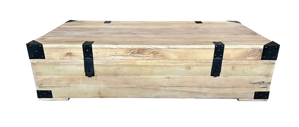 Natural Recycled Elm & Iron Trunk