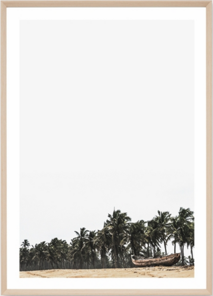 Palm Horizon