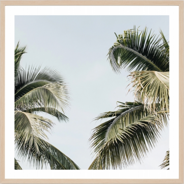 Island Breeze