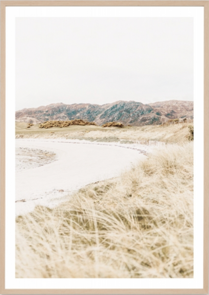 Seaside Fields