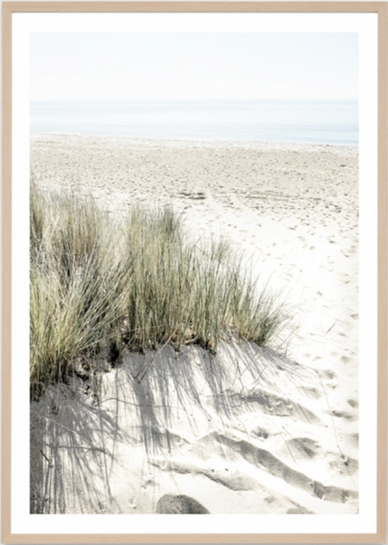 Footprints in the Sand