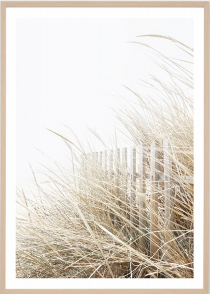 Coastal Breeze